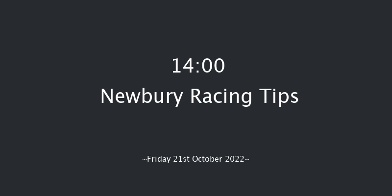 Newbury 14:00 Stakes (Class 4) 8f Sat 17th Sep 2022