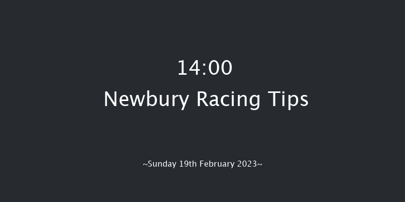 Newbury 14:00 Handicap Chase (Class 2) 16f Sat 11th Feb 2023