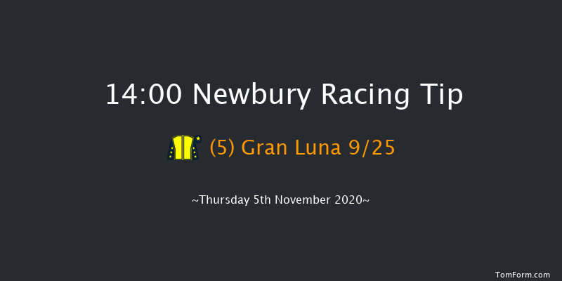 tote.co.uk Ten To Follow Mares' Novices' Hurdle (GBB Race) Newbury 14:00 Maiden Hurdle (Class 2) 16f Sat 24th Oct 2020