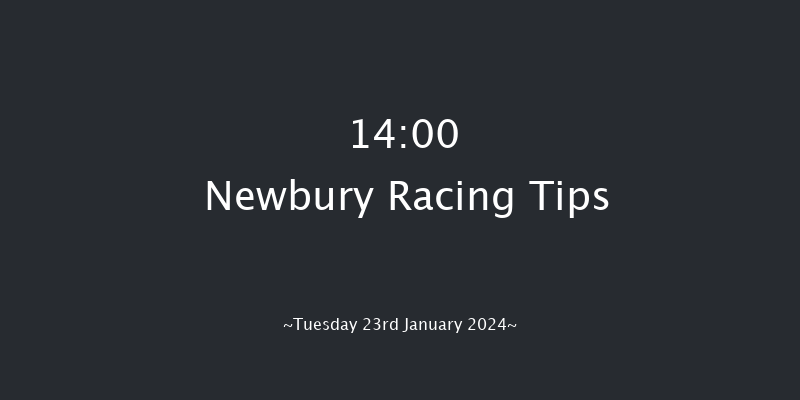 Newbury 14:00 Conditions
Hurdle (Class 3) 16f Sat 30th Dec 2023