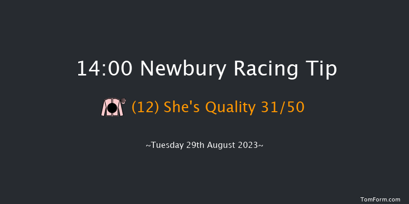 Newbury 14:00 Maiden (Class 2) 6f Sat 19th Aug 2023