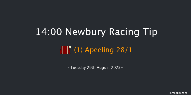 Newbury 14:00 Maiden (Class 2) 6f Sat 19th Aug 2023