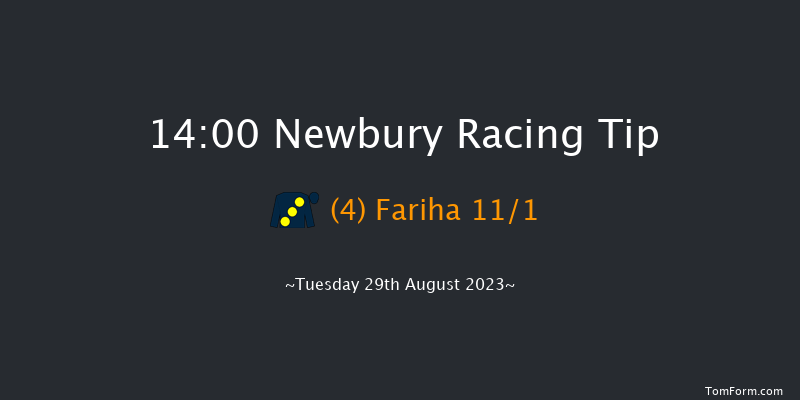 Newbury 14:00 Maiden (Class 2) 6f Sat 19th Aug 2023
