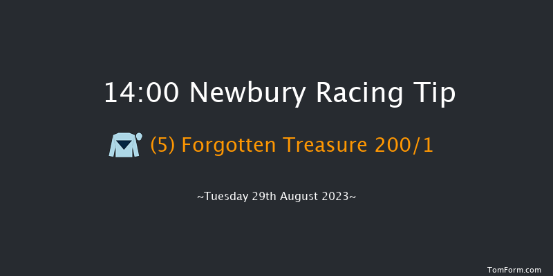 Newbury 14:00 Maiden (Class 2) 6f Sat 19th Aug 2023