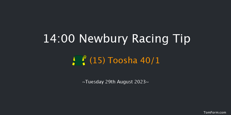 Newbury 14:00 Maiden (Class 2) 6f Sat 19th Aug 2023
