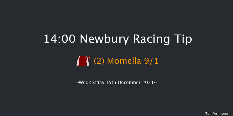 Newbury 14:00 Conditions Chase (Class 1) 23f Sat 27th Nov 2021