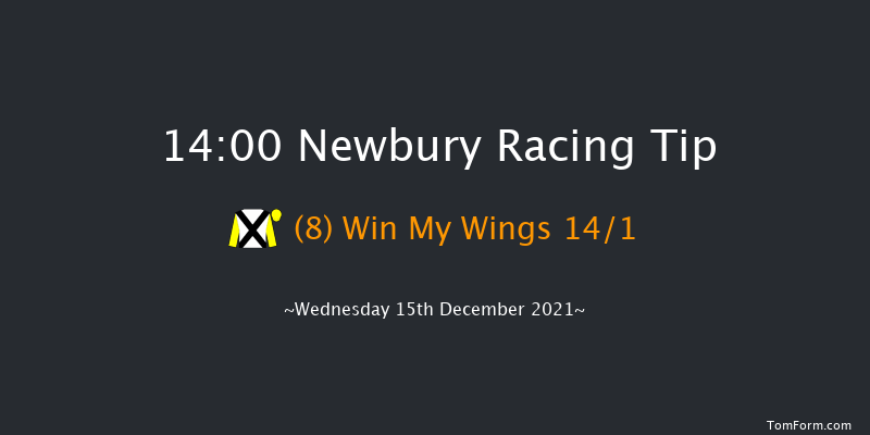 Newbury 14:00 Conditions Chase (Class 1) 23f Sat 27th Nov 2021