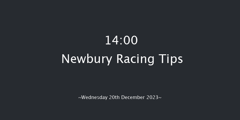 Newbury 14:00 Conditions Chase (Class 1) 23f Sat 2nd Dec 2023