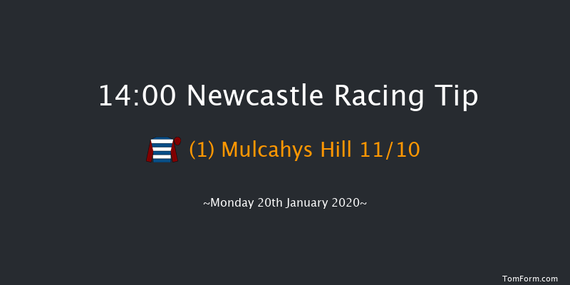 Newcastle 14:00 Maiden Chase (Class 4) 23f Fri 17th Jan 2020