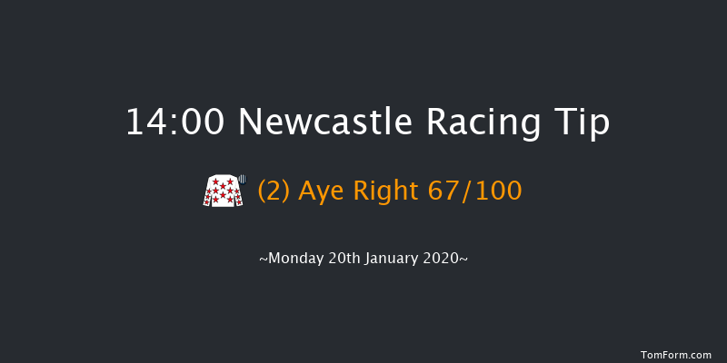 Newcastle 14:00 Maiden Chase (Class 4) 23f Fri 17th Jan 2020