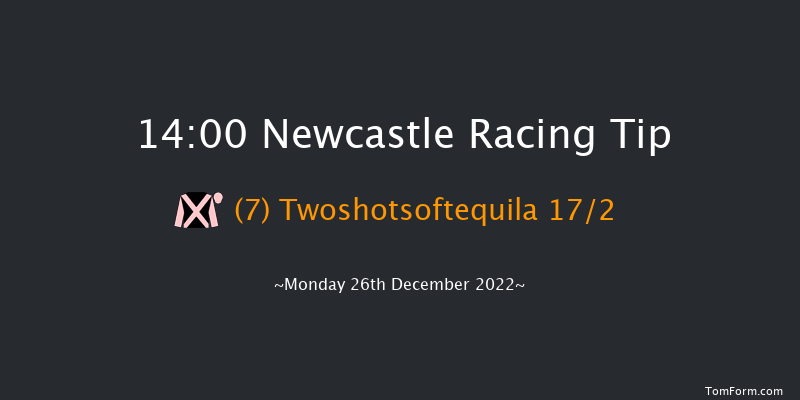 Newcastle 14:00 Handicap Hurdle (Class 4) 20f Tue 20th Dec 2022