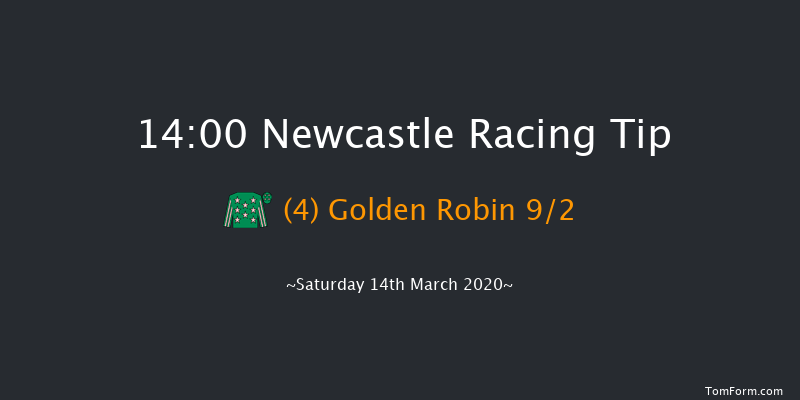 Sports Betting At betuk.com Mares' Novices' Hurdle Newcastle 14:00 Maiden Hurdle (Class 4) 16f Tue 10th Mar 2020