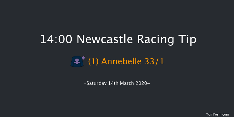 Sports Betting At betuk.com Mares' Novices' Hurdle Newcastle 14:00 Maiden Hurdle (Class 4) 16f Tue 10th Mar 2020