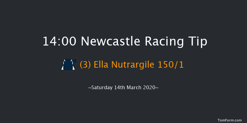 Sports Betting At betuk.com Mares' Novices' Hurdle Newcastle 14:00 Maiden Hurdle (Class 4) 16f Tue 10th Mar 2020
