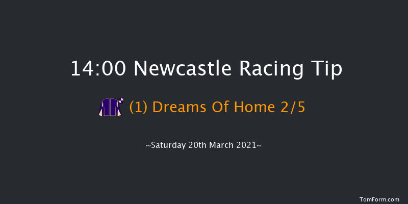 QuinnBet Novices' Hurdle (GBB Race) Newcastle 14:00 Novices Hurdle (Class 4) 16f Tue 16th Mar 2021