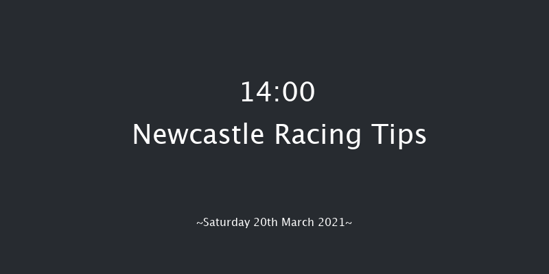QuinnBet Novices' Hurdle (GBB Race) Newcastle 14:00 Novices Hurdle (Class 4) 16f Tue 16th Mar 2021