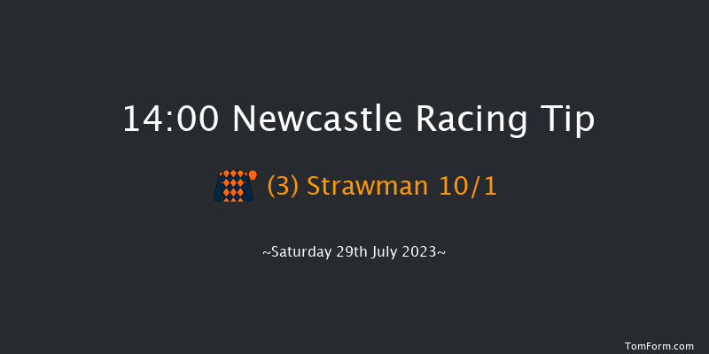 Newcastle 14:00 Handicap (Class 4) 10f Sat 1st Jul 2023