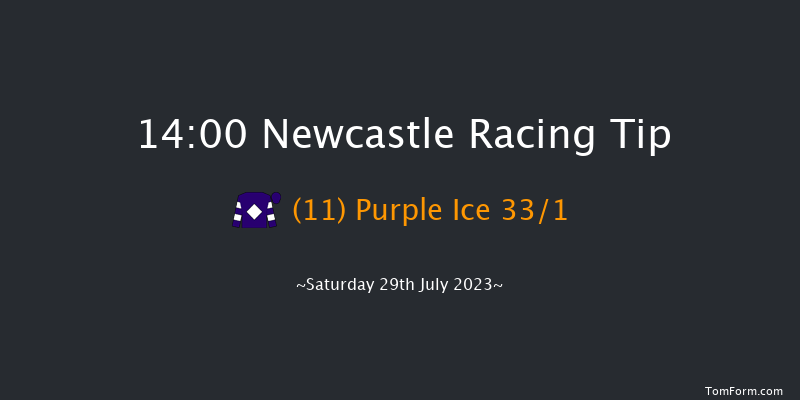 Newcastle 14:00 Handicap (Class 4) 10f Sat 1st Jul 2023