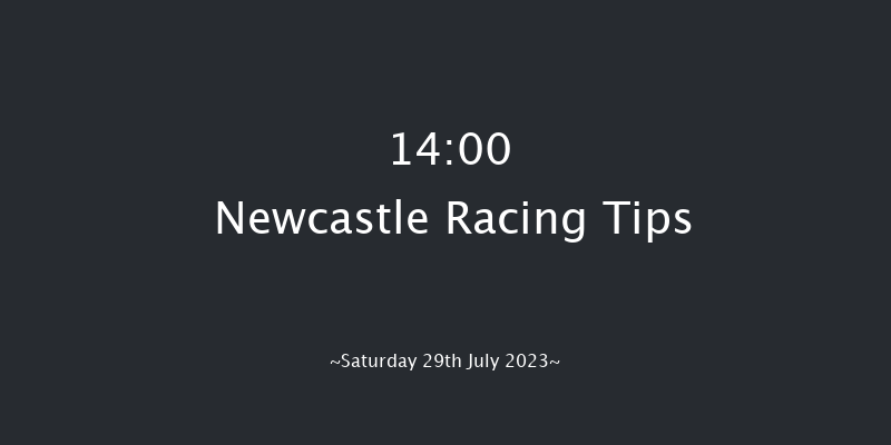Newcastle 14:00 Handicap (Class 4) 10f Sat 1st Jul 2023