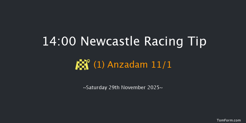 Newcastle 14-00 (Class 1) 16f Thu 27th Nov 2025