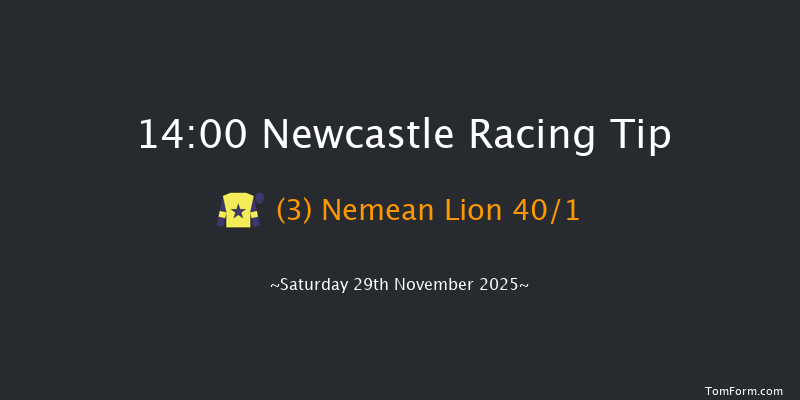 Newcastle 14-00 (Class 1) 16f Thu 27th Nov 2025