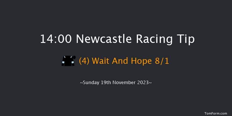 Newcastle 14:00 Stakes (Class 4) 6f Fri 17th Nov 2023