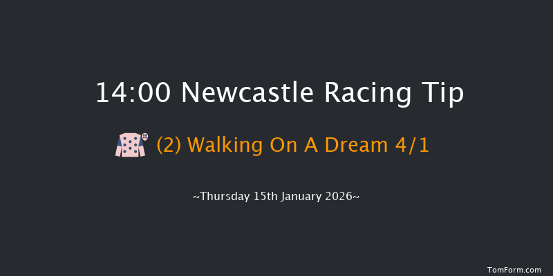 Newcastle 14-00 (Class 4) 23f Tue 13th Jan 2026