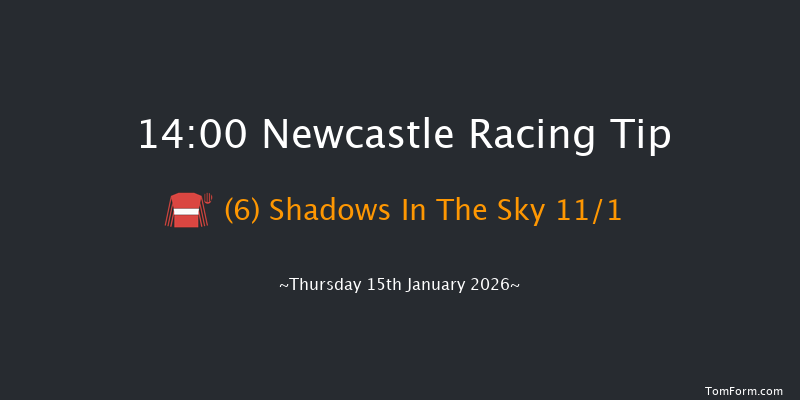 Newcastle 14-00 (Class 4) 23f Tue 13th Jan 2026