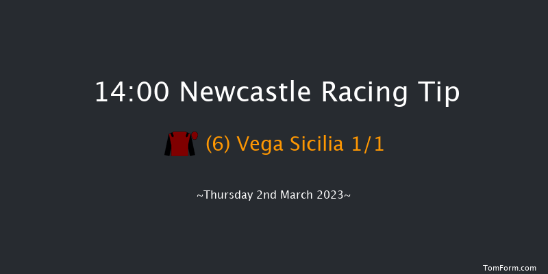 Newcastle 14:00 Handicap (Class 3) 12f Sat 25th Feb 2023