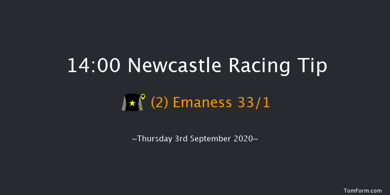 attheraces.com/EBF Novice Stakes (Div 2) Newcastle 14:00 Stakes (Class 5) 6f Sun 2nd Aug 2020