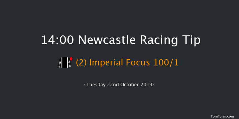 Newcastle 14:00 Handicap (Class 6) 12f Fri 18th Oct 2019