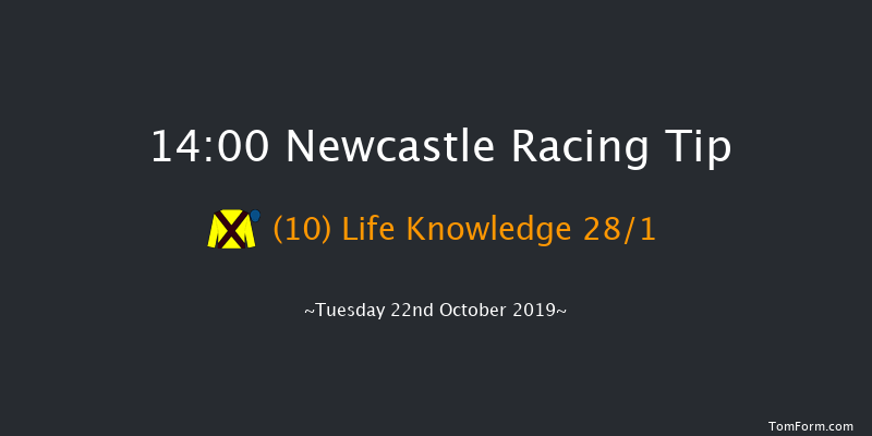 Newcastle 14:00 Handicap (Class 6) 12f Fri 18th Oct 2019