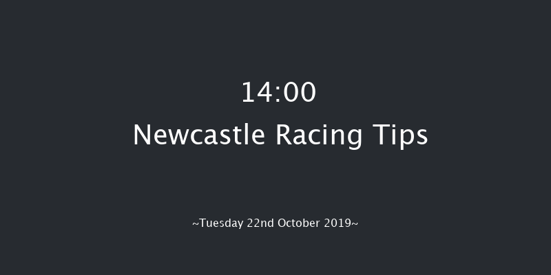 Newcastle 14:00 Handicap (Class 6) 12f Fri 18th Oct 2019