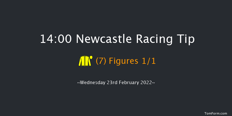 Newcastle 14:00 Stakes (Class 5) 10f Mon 21st Feb 2022