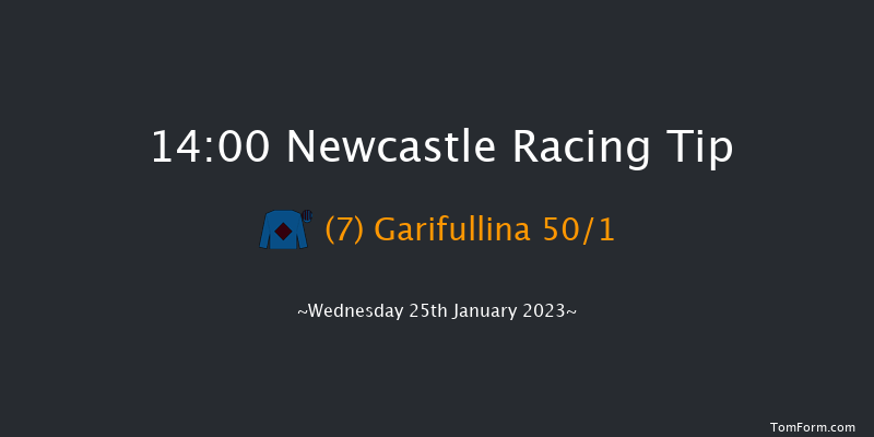 Newcastle 14:00 Stakes (Class 5) 7f Sun 22nd Jan 2023