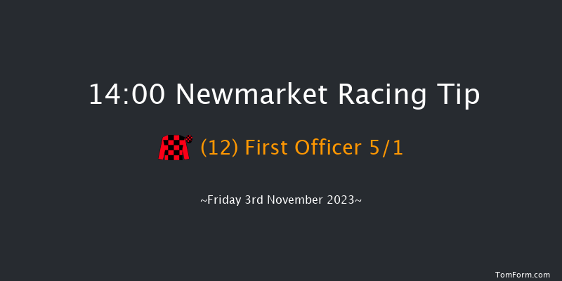 Newmarket 14:00 Handicap (Class 3) 10f Sat 14th Oct 2023