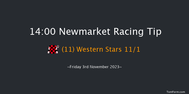 Newmarket 14:00 Handicap (Class 3) 10f Sat 14th Oct 2023