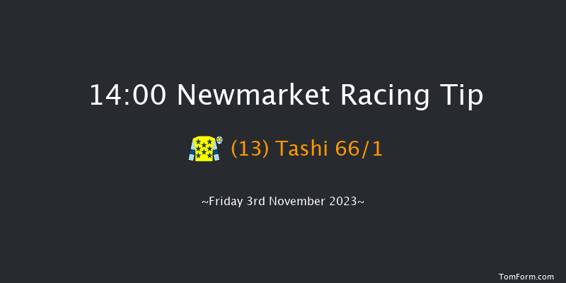 Newmarket 14:00 Handicap (Class 3) 10f Sat 14th Oct 2023
