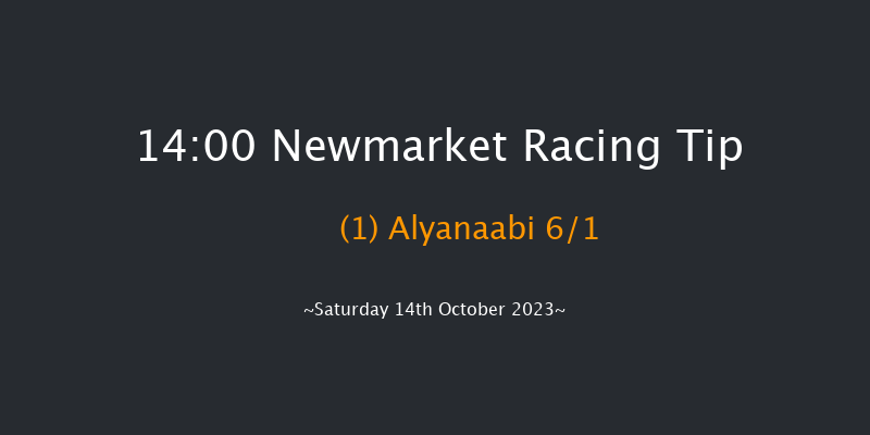 Newmarket 14:00 Group 1 (Class 1) 7f Fri 13th Oct 2023