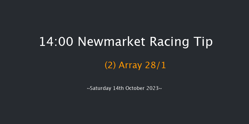 Newmarket 14:00 Group 1 (Class 1) 7f Fri 13th Oct 2023