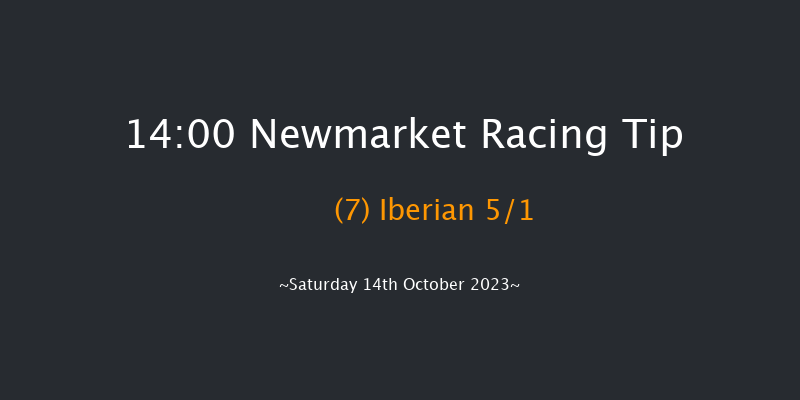 Newmarket 14:00 Group 1 (Class 1) 7f Fri 13th Oct 2023