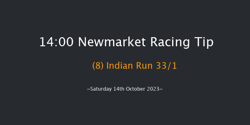 Newmarket 14:00 Group 1 (Class 1) 7f Fri 13th Oct 2023