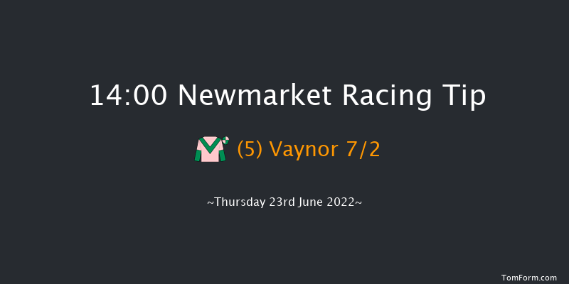 Newmarket 14:00 Handicap (Class 5) 12f Sat 18th Jun 2022