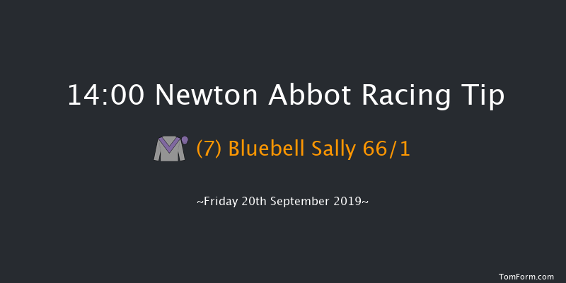Newton Abbot 14:00 Maiden Hurdle (Class 4) 22f Mon 9th Sep 2019