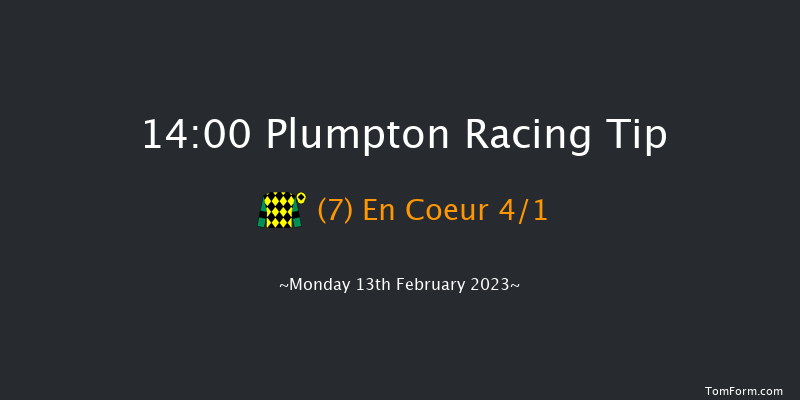 Plumpton 14:00 Handicap Chase (Class 4) 17f Mon 30th Jan 2023