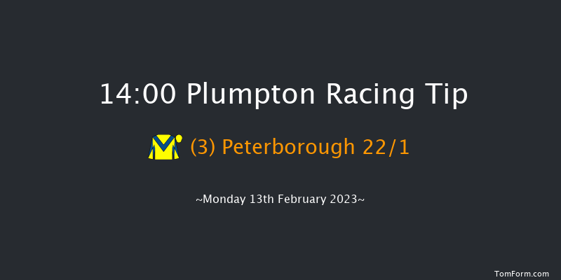 Plumpton 14:00 Handicap Chase (Class 4) 17f Mon 30th Jan 2023