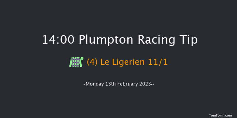 Plumpton 14:00 Handicap Chase (Class 4) 17f Mon 30th Jan 2023