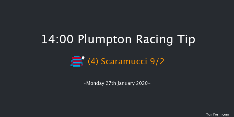 Plumpton 14:00 Handicap Chase (Class 4) 17f Mon 20th Jan 2020