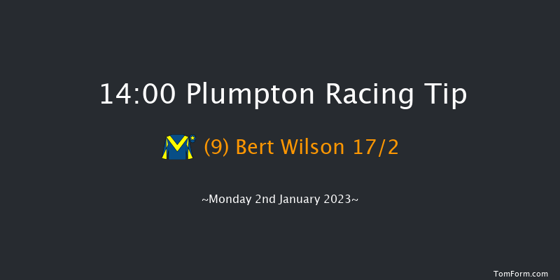 Plumpton 14:00 Handicap Hurdle (Class 5) 20f Tue 20th Dec 2022