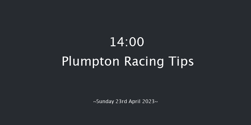 Plumpton 14:00 Handicap Chase (Class 4) 20f Mon 10th Apr 2023